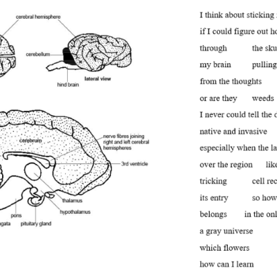 Hybrid Forms: Gender and&nbsp;Genre